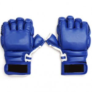 MMA Gloves - RDIX-3805