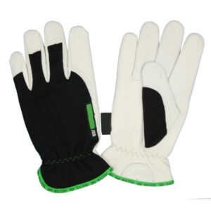 Winter Gloves - RDIX-2508