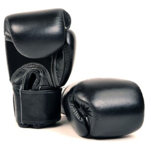 Boxing Gloves - RDIX-2901